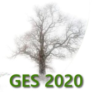 GES-2020
